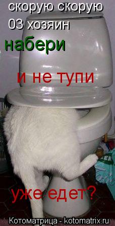 Котоматрица: скорую скорую 03 хозяин набери и не тупи уже едет?