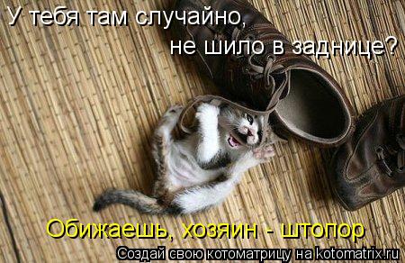 Котоматрица: У тебя там случайно,  не шило в заднице?  Обижаешь, хозяин - штопор