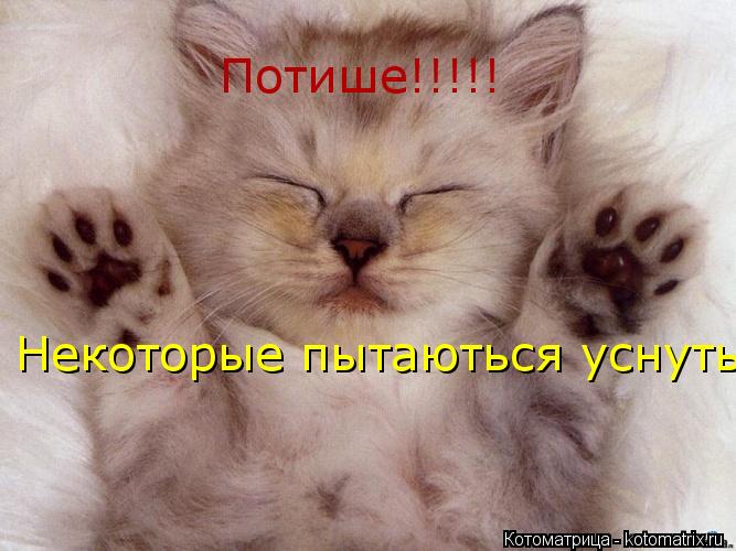 Котоматрица: Потише!!!!! Некоторые пытаються уснуть