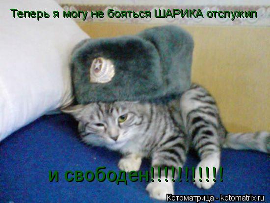 Котоматрица: Теперь я могу не бояться ШАРИКА отслужил и свободен!!!!!!!!!!!
