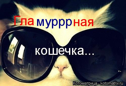 Котоматрица: Гла муррр ная кошечка...