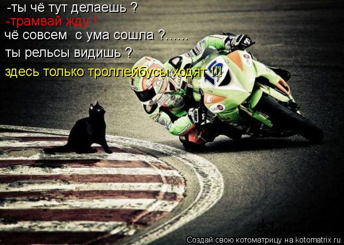 Котоматрица: -ты чё тут делаешь ? -трамвай жду ! чё совсем  с ума сошла ?...... ты рельсы видишь ? здесь только троллейбусы ходят !!!
