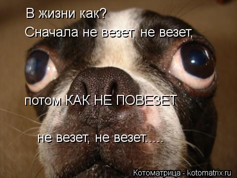 Котоматрица: В жизни как? Сначала не везет, не везет,  потом КАК НЕ ПОВЕЗЕТ  не везет, не везет.....