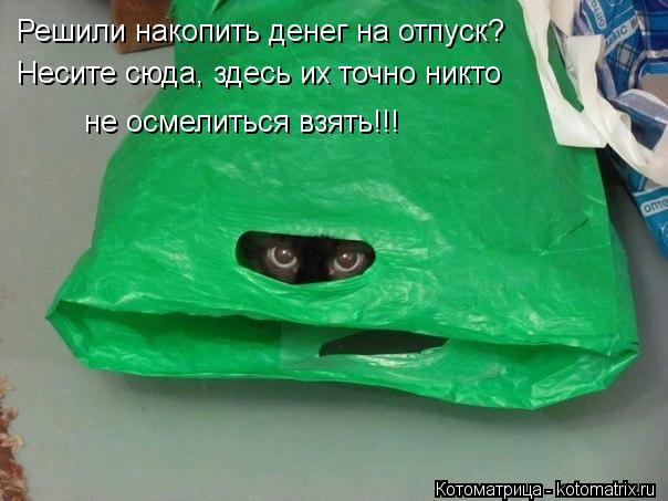 Котоматрица: Решили накопить денег на отпуск?  Несите сюда, здесь их точно никто  Несите сюда, здесь их точно никто  не осмелиться взять!!!