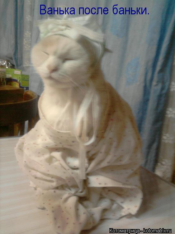 Котоматрица: Ванька после баньки.