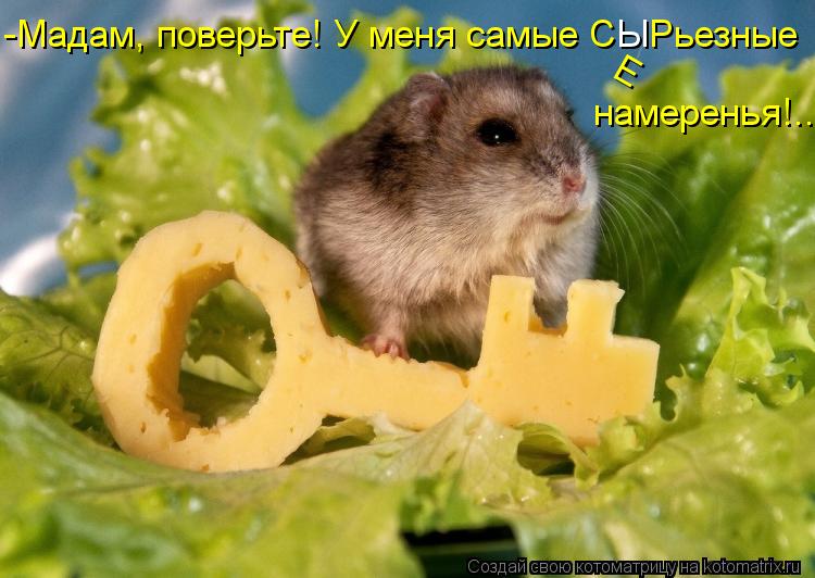 -Мадам, поверьте! У меня самые С Рьезные Ы намеренья!.. Е... Котоматрица: -Мадам, поверьте! У меня самые С Рьезные Ы намеренья!.. Е