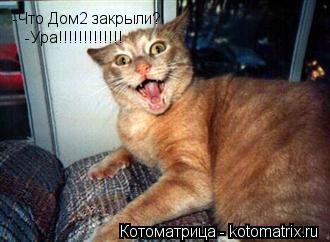 Котоматрица: -Что Дом2 закрыли?  -Ура!!!!!!!!!!!!!