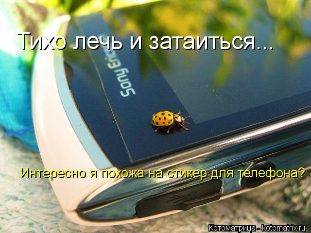 Котоматрица: Тихо лечь и затаиться... Интересно я похожа на стикер для телефона?