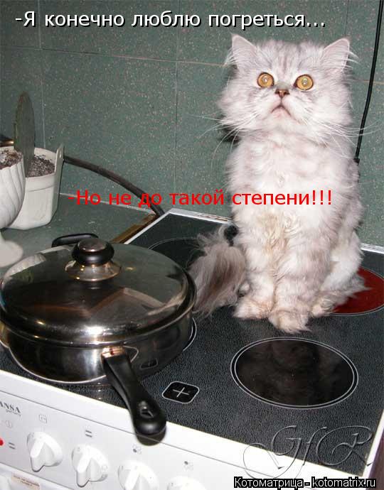 Котоматрица: -Я конечно люблю погреться... -Но не до такой степени!!!