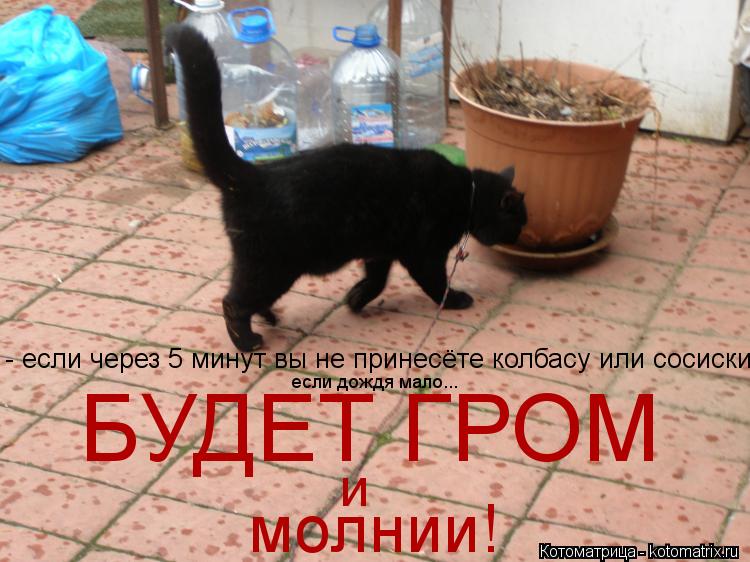 Котоматрица: - если через 5 минут вы не принесёте колбасу или сосиски  БУДЕТ ГРОМ и молнии! если дождя мало...