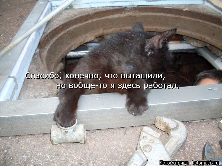 Котоматрица: Спасибо, конечно, что вытащили, но вобще-то я здесь работал.