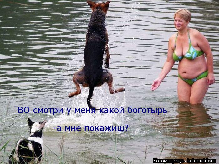 Котоматрица: ВО смотри у меня какой боготырь -а мне покажиш?