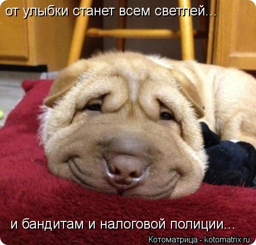 Котоматрица: от улыбки станет всем светлей... и бандитам и налоговой полиции...