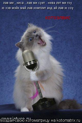Котоматрица: лав ми , киса , лав ми суит . нева лет ми гоу ю хэв мэйк май лав комплит анд ай лав ю соу котоэлвис