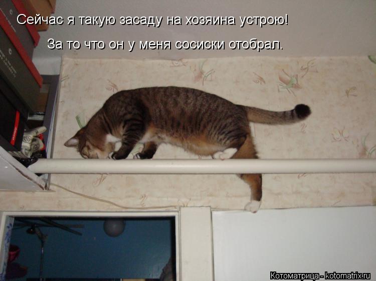 Котоматрица: Сейчас я такую засаду на хозяина устрою! За то что он у меня сосиски отобрал.
