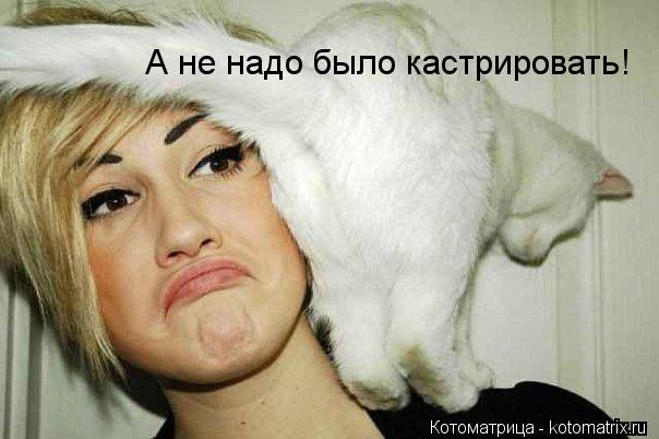 Котоматрица: А не надо было кастрировать!