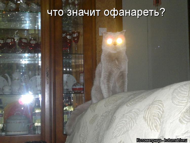 Котоматрица: что значит офанареть?