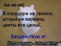 Котоматрица: Ай-яй-яй!  В коридоре не гажено, шторы не порваны, цветы все целы!.. Бездействую я!