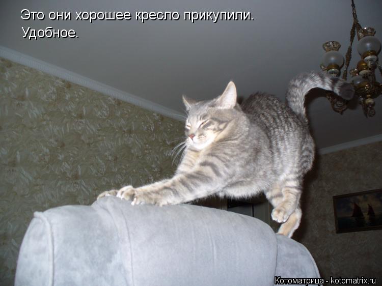 Это они хорошее кресло прикупили. Удобное.... Котоматрица: Это они хорошее кресло прикупили. Удобное.