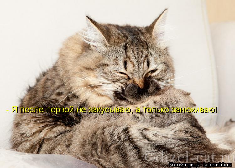 Котоматрица: - Я после первой не закусываю, а только занюхиваю!