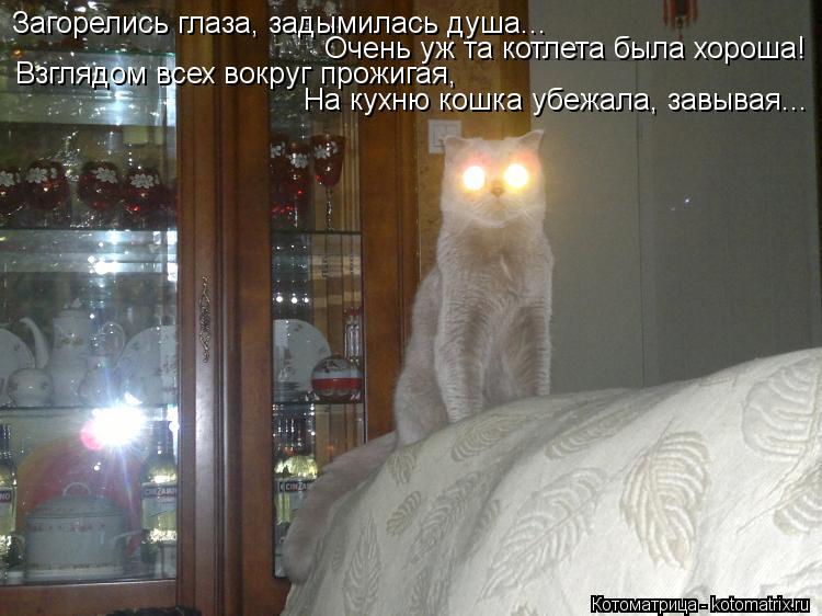 Котоматрица: Загорелись глаза, задымилась душа... Очень уж та котлета была хороша! Взглядом всех вокруг прожигая, На кухню кошка убежала, завывая...