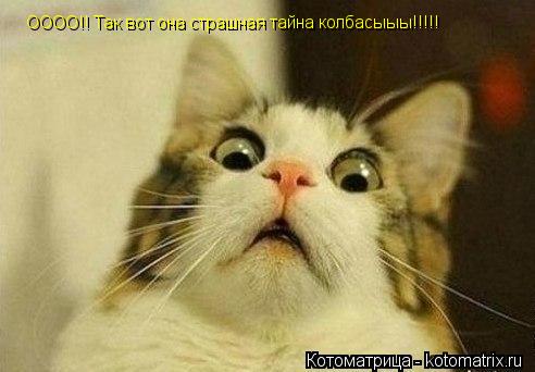 Котоматрица: ОООО!! Так вот она страшная тайна колбасыыы!!!!!