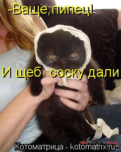 Котоматрица: -Ваще,пипец! И щеб  соску дали!!