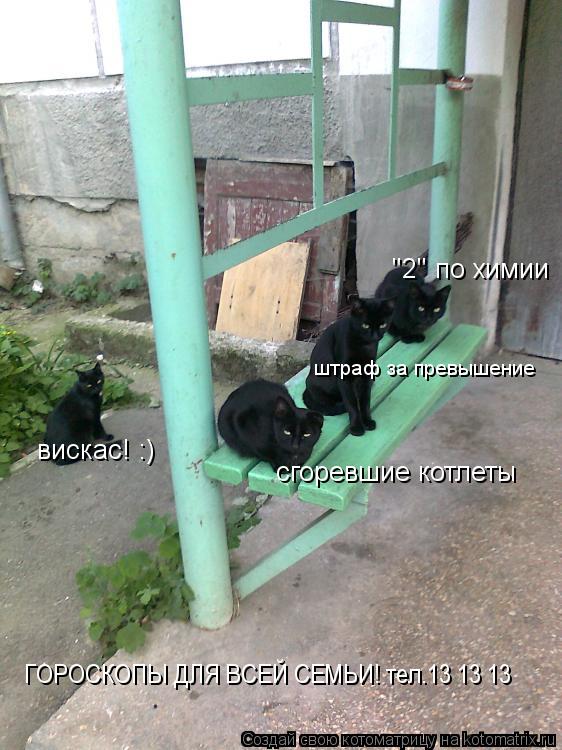 Котоматрица: "2" по химии сгоревшие котлеты штраф за превышение ГОРОСКОПЫ ДЛЯ ВСЕЙ СЕМЬИ! тел.13 13 13 вискас! :)