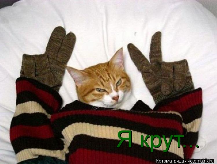 Котоматрица: Я крут...