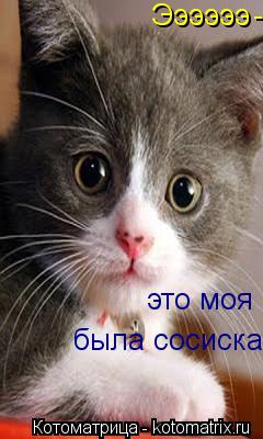 Котоматрица: Ээээээ - это моя была сосиска