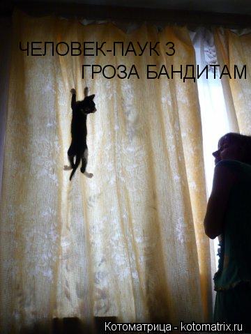Котоматрица: ЧЕЛОВЕК-ПАУК 3 ГРОЗА БАНДИТАМ