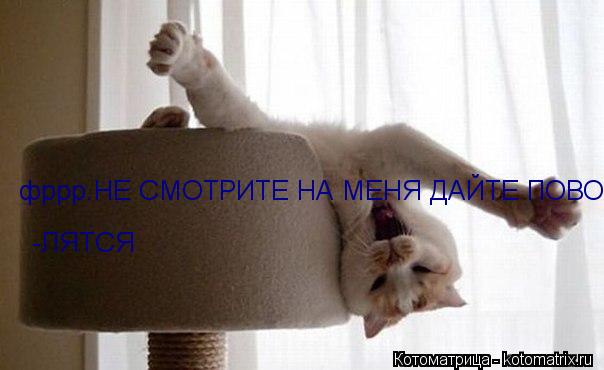Котоматрица: фррр.НЕ СМОТРИТЕ НА МЕНЯ ДАЙТЕ ПОВОЛЯТСЯ -ЛЯТСЯ