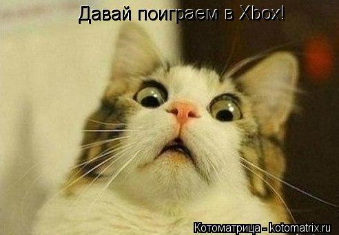 Котоматрица: Давай поиграем в Xbox! Давай поиграем в Xbox!