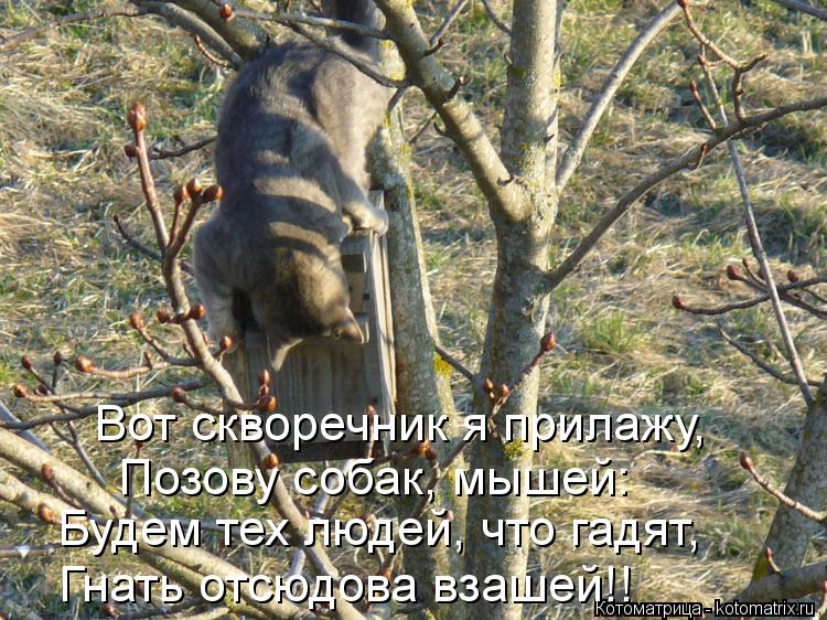 Котоматрица: Вот скворечник я прилажу, Позову собак, мышей: Будем тех людей, что гадят, Гнать отсюдова взашей!!