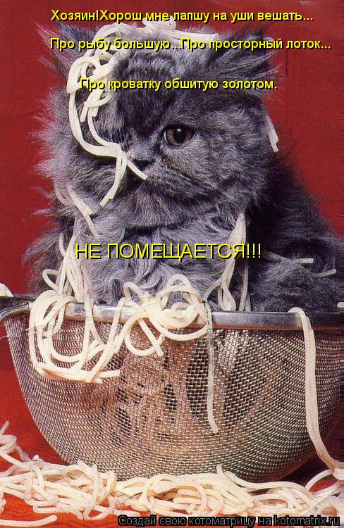 Котоматрица: Хозяин!Хорош мне лапшу на уши вешать... Про рыбу большую...Про просторный лоток... Про кроватку обшитую золотом. НЕ ПОМЕЩАЕТСЯ!!!