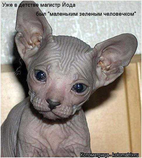 Котоматрица: Уже в детстве магистр Йода был "маленьким зеленым человечком"
