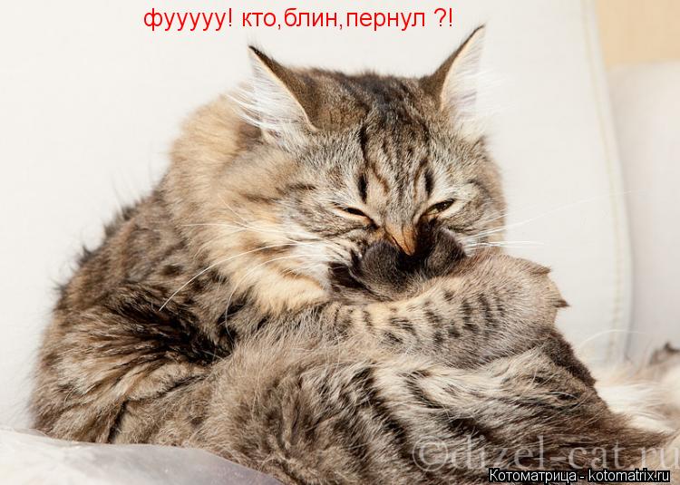 Котоматрица: фууууу! кто,блин,пернул ?!