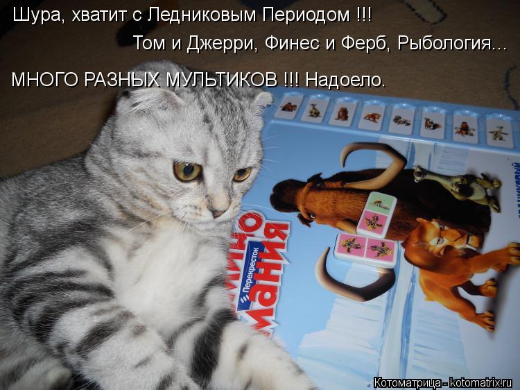Котоматрица: Шура, хватит с Ледниковым Периодом !!! Том и Джерри, Финес и Ферб, Рыбология... МНОГО РАЗНЫХ МУЛЬТИКОВ !!! Надоело.