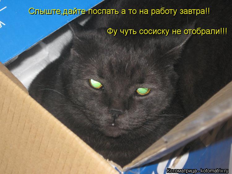 Котоматрица: Слыште,дайте поспать а то на работу завтра!! Фу чуть сосиску не отобрали!!!