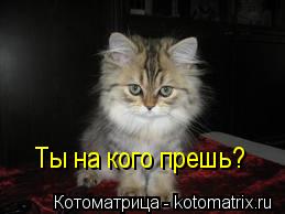 Котоматрица: Ты на кого прешь?