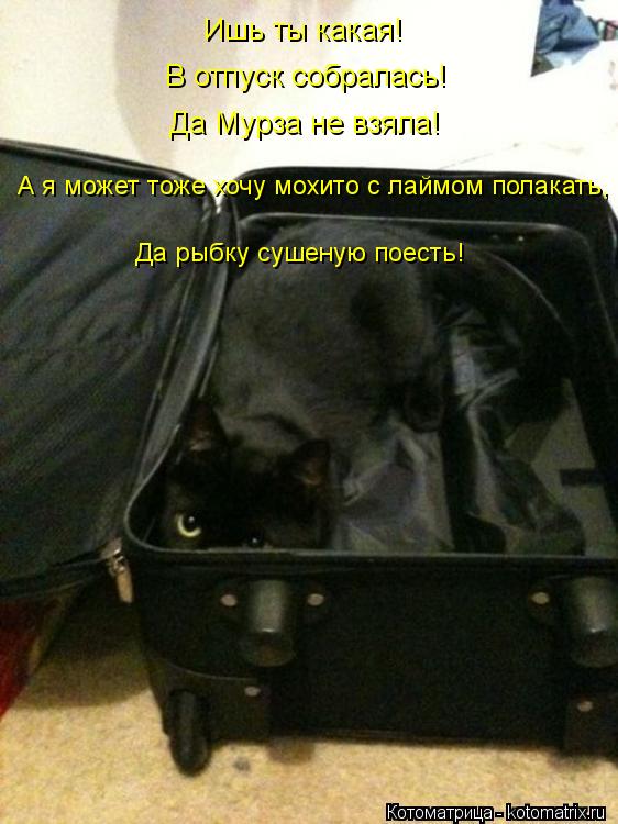 Котоматрица: Ишь ты какая! В отпуск собралась! Да Мурза не взяла! А я может тоже хочу мохито с лаймом полакать, Да рыбку сушеную поесть!