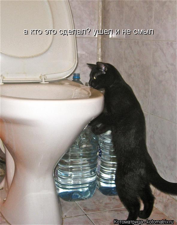 Котоматрица: а кто это сделал? ушел и не смыл