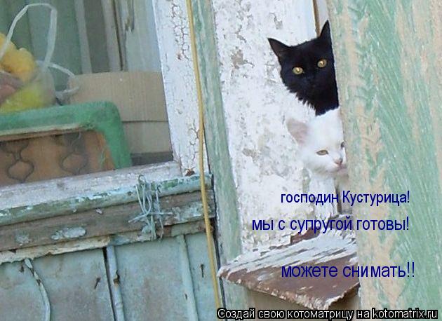 Котоматрица: господин Кустурица! мы с супругой готовы! можете снимать!!