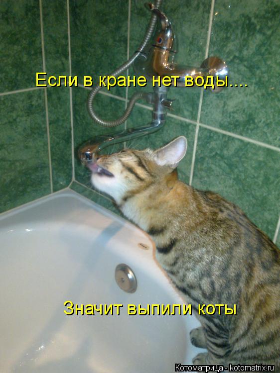 Котоматрица: Если в кране нет воды.... Значит выпили коты