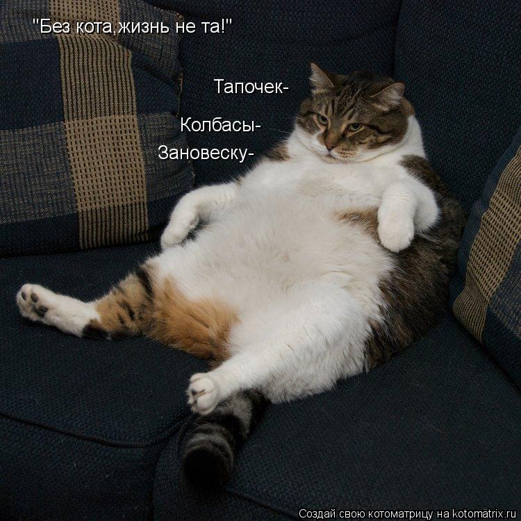 Котоматрица: Колбасы- "Без кота,жизнь не та!" Тапочек- Зановеску-