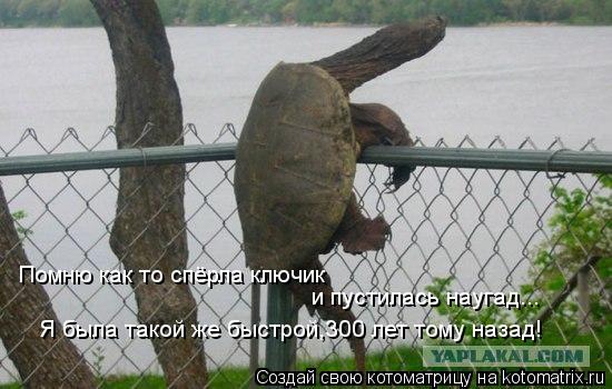 Котоматрица: Помню как то спёрла ключик и пустилась наугад... Я была такой же быстрой,300 лет тому назад!