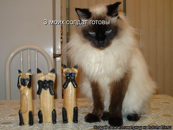 Котоматрица: 3 моих солдат готовы