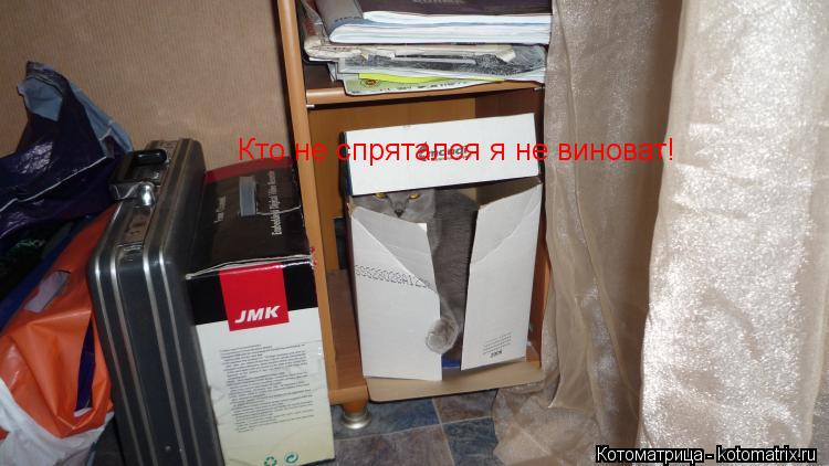 Котоматрица: Кто не спрятался я не виноват!