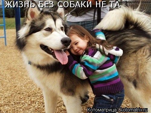 Котоматрица: ЖИЗНЬ БЕЗ СОБАКИ НЕ ТА