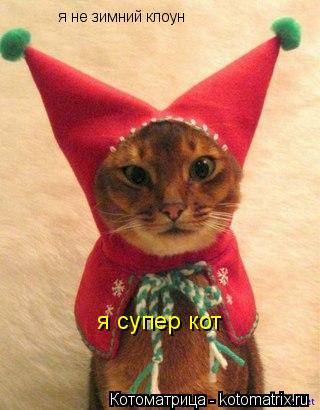 Котоматрица: я не зимний клоун я супер кот